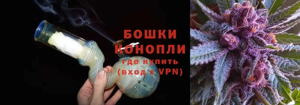 прущий лед Вяземский