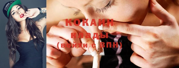 прущий лед Вяземский