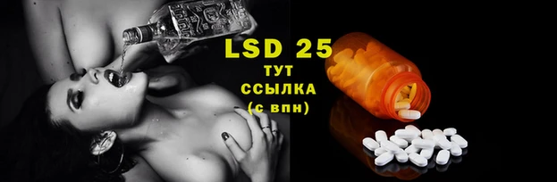 тгк Вязники