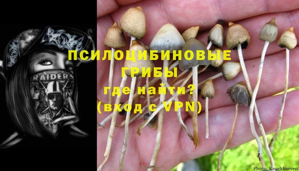 гашик Бугульма