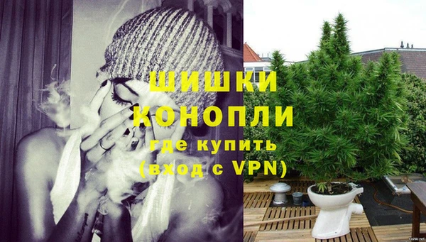 прущий лед Вяземский
