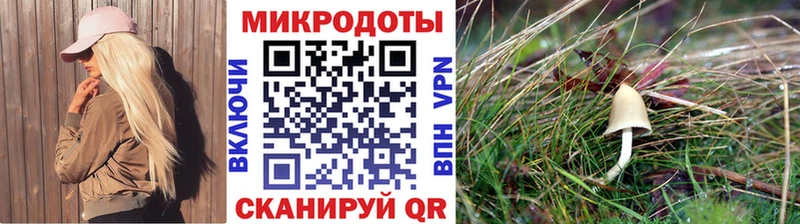 Псилоцибиновые грибы GOLDEN TEACHER  Жиздра 